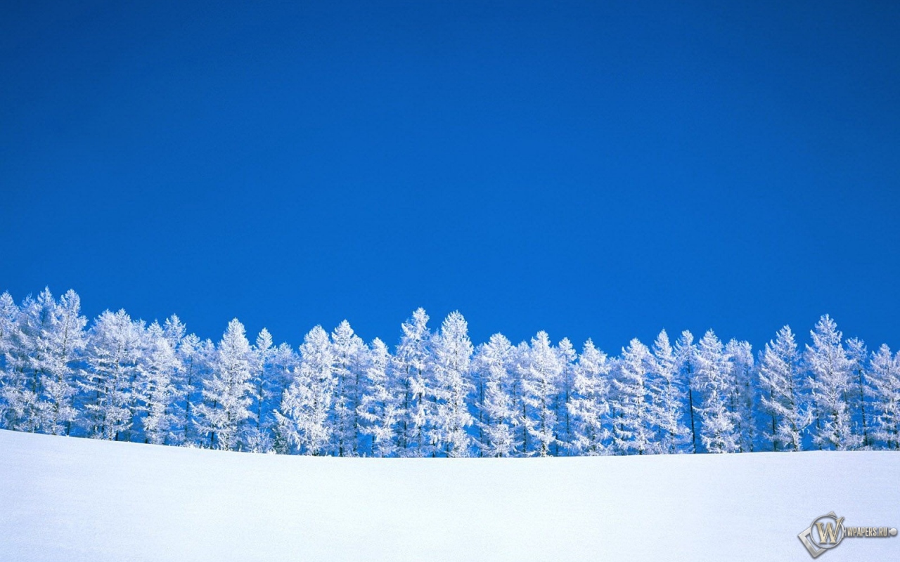 Зимний пейзаж 1280x800