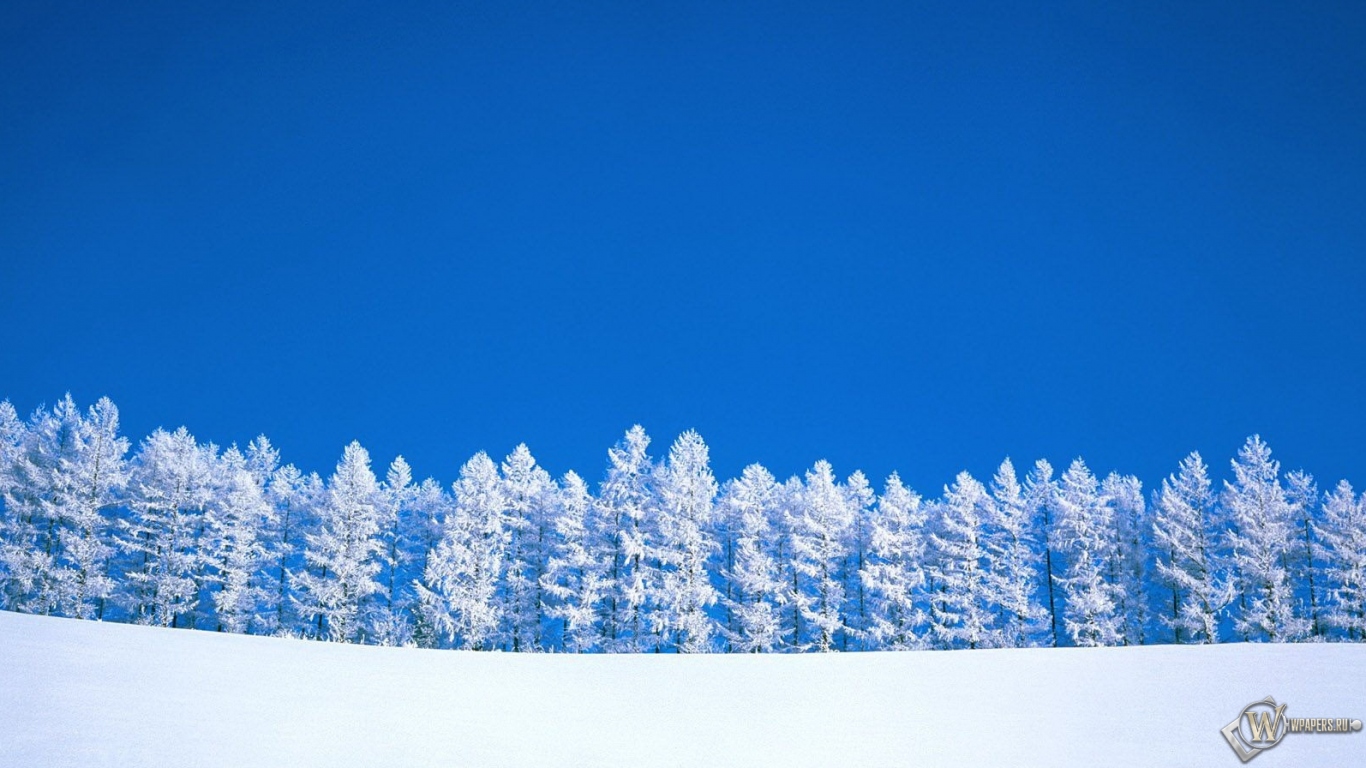 Зимний пейзаж 1366x768