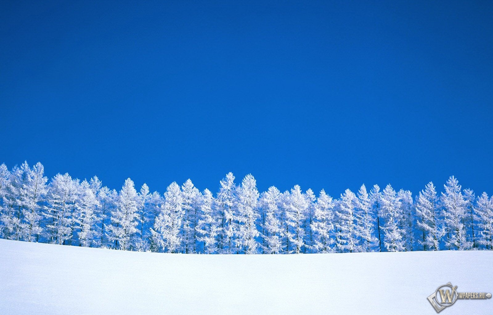 Зимний пейзаж 1600x1024