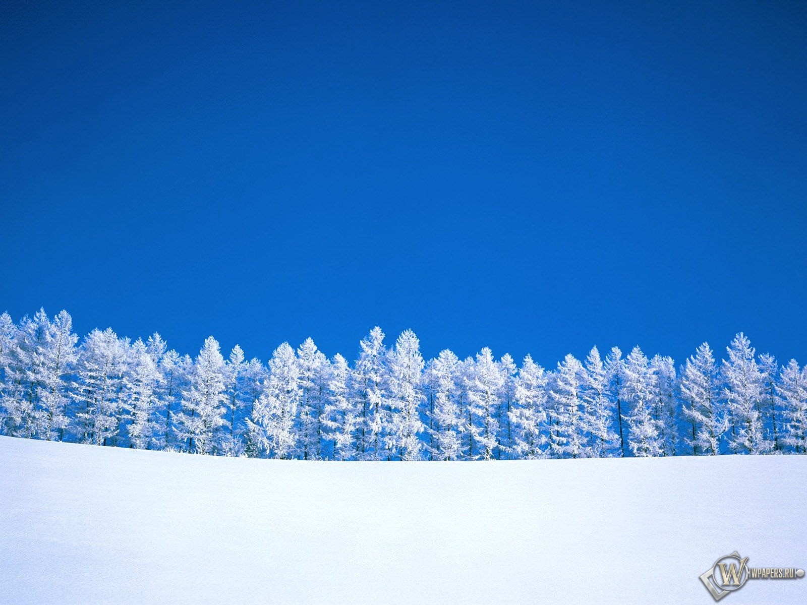 Зимний пейзаж 1600x1200