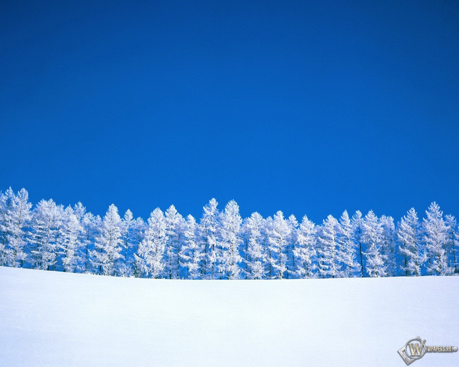 Зимний пейзаж 1600x1280