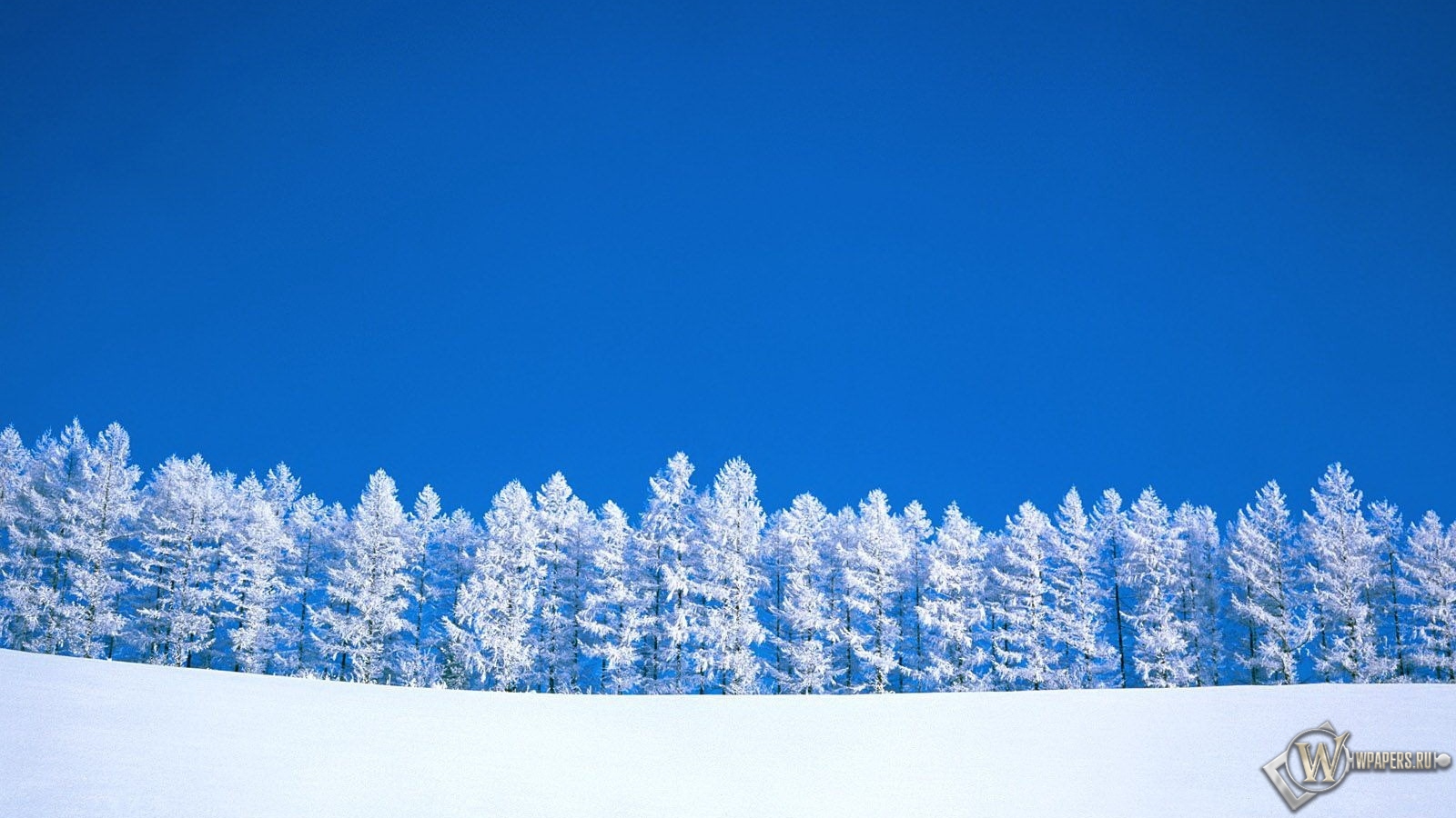 Зимний пейзаж 1600x900