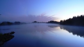 Обои Небо в озере: Отражение, Деревья, Туман, Озеро, Небо, Природа