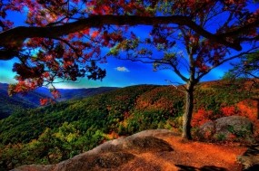 Обои Прекрасный пейзаж: Лес, Деревья, Холмы, Осень, Небо, Природа