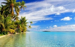 Обои Райское место: Пальмы, Пляж, Море, Небо, Природа