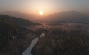 Обои Morning Mist: Река, Лес, Солнце, Природа