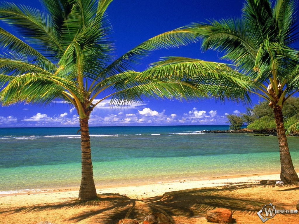 Гавайские острова 1024x768