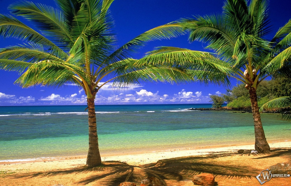 Гавайские острова 1200x768