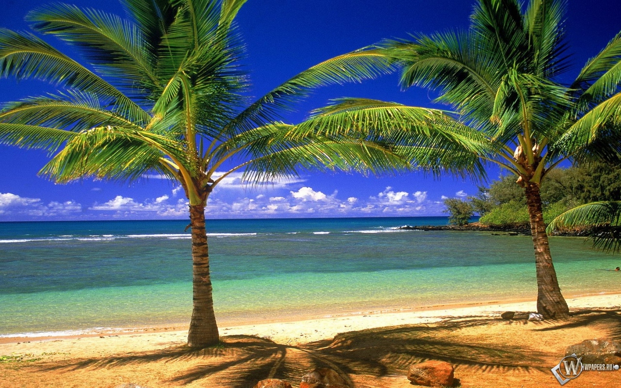 Гавайские острова 1280x800