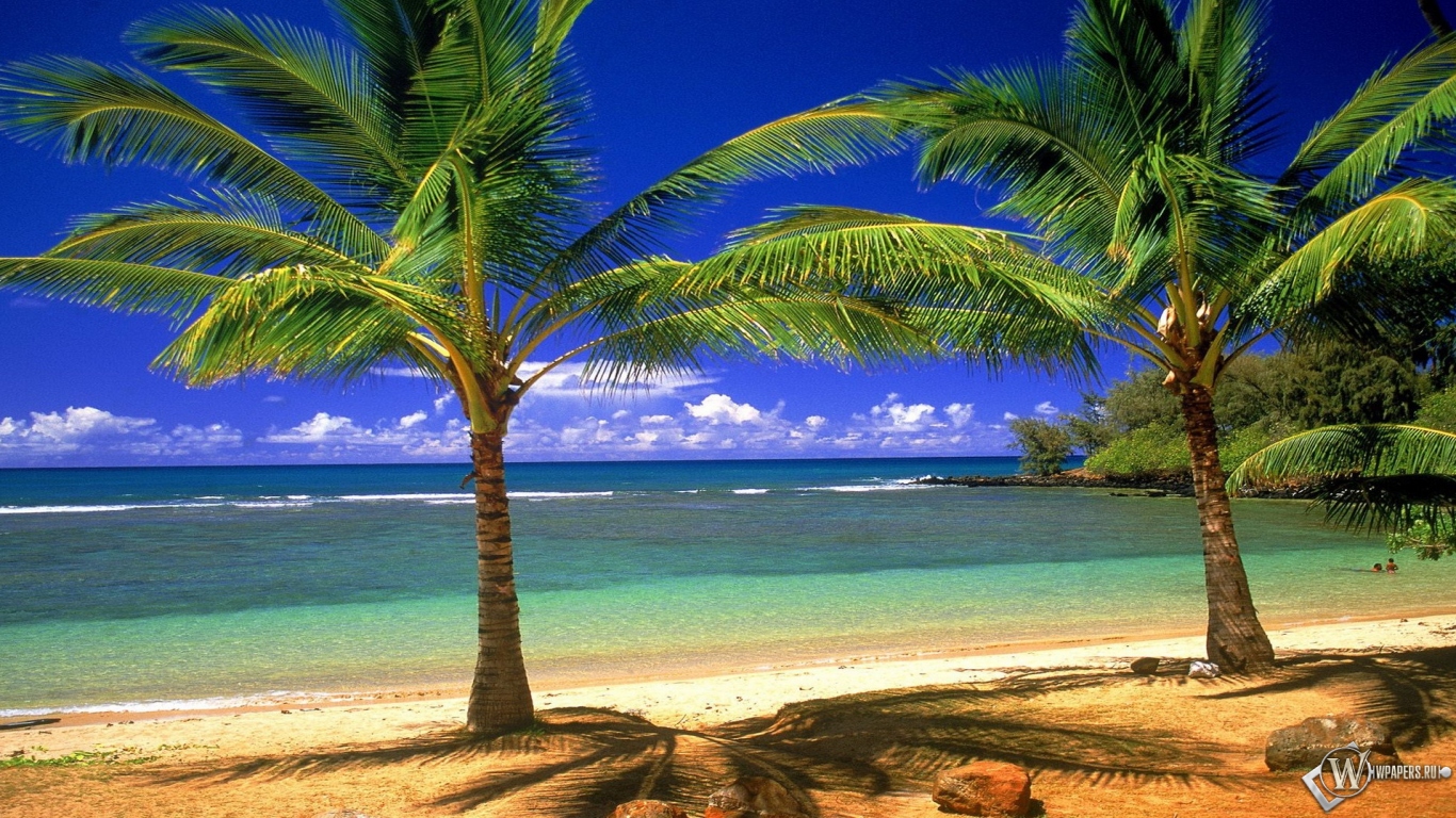 Гавайские острова 1366x768