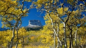 Обои Mount Chief Glacier National Park Montana: Деревья, Осень, Небо, Скала, Природа