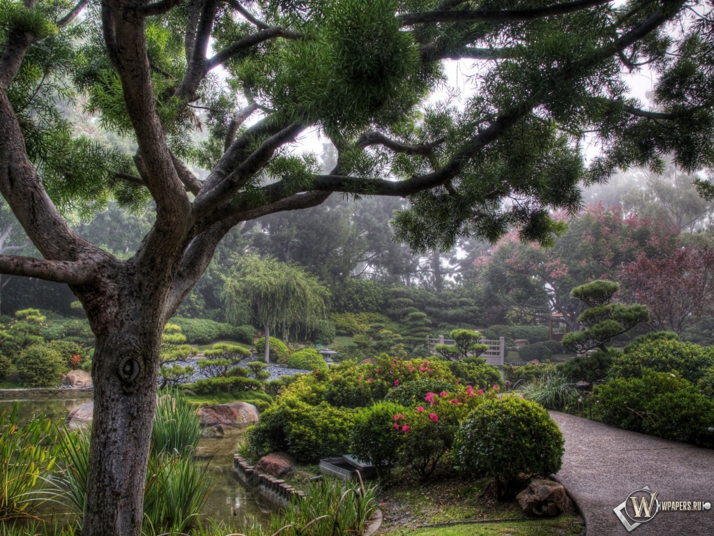 Японский сад 1024x768