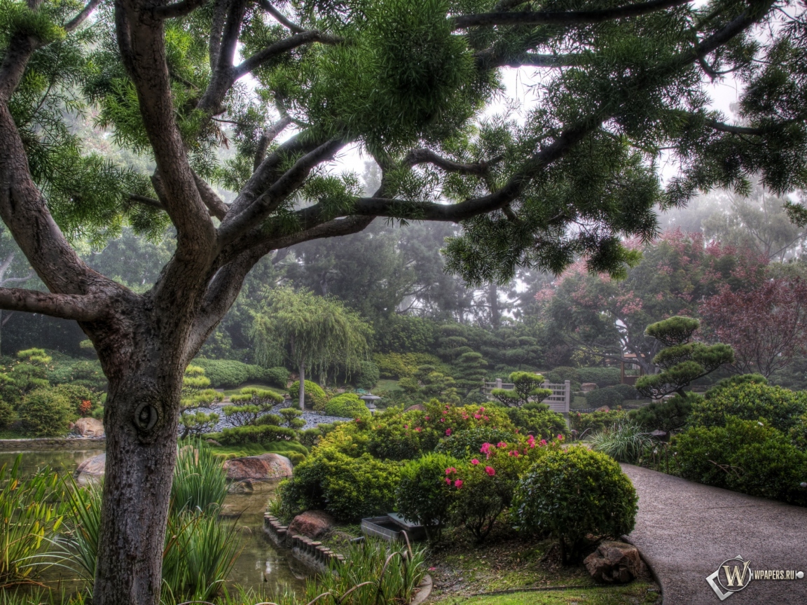 Японский сад 1152x864