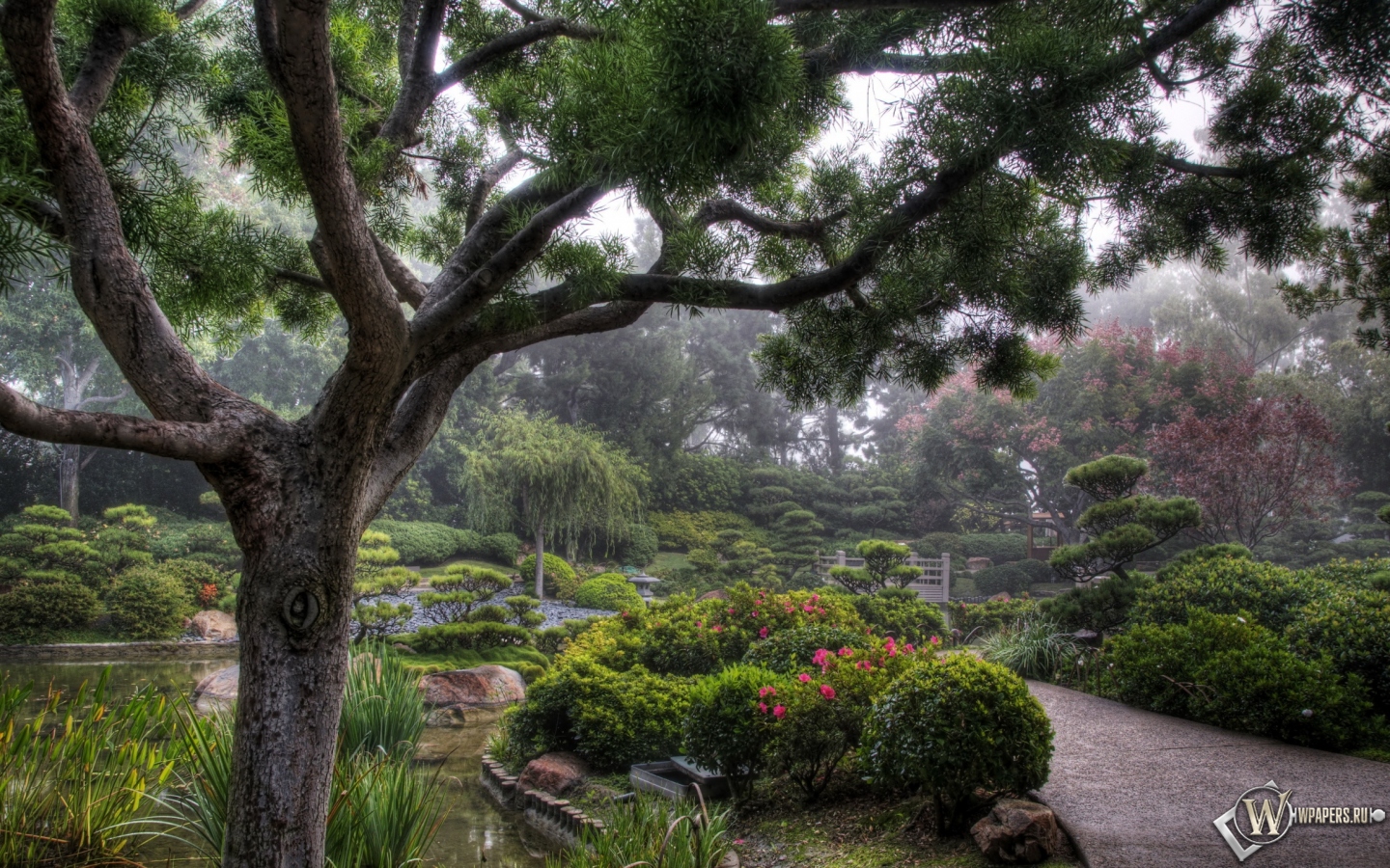 Японский сад 1440x900