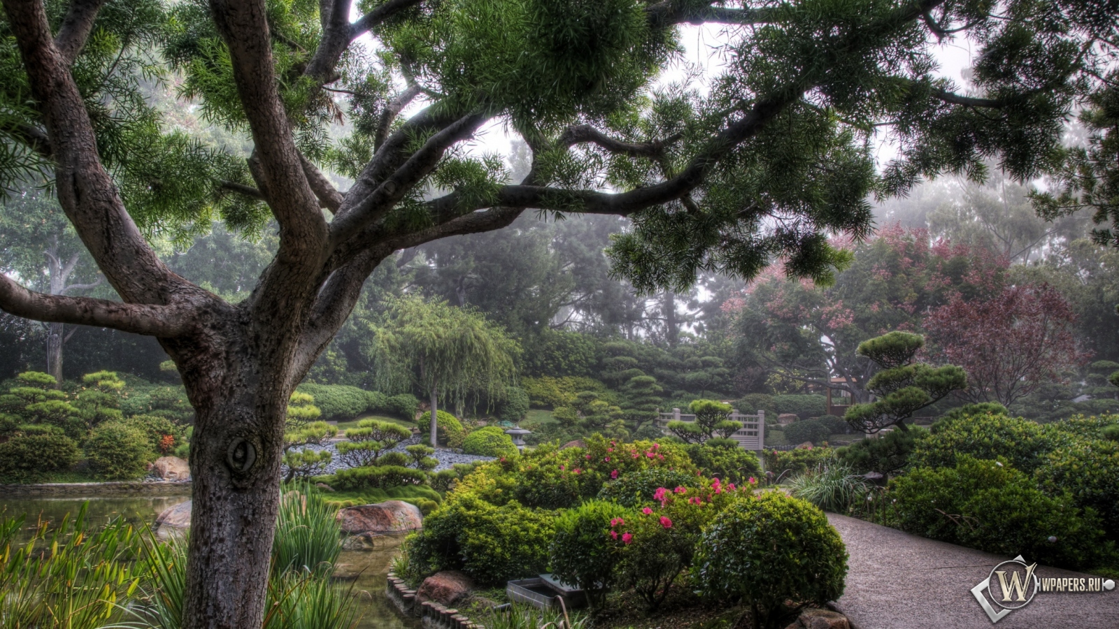 Японский сад 1600x900