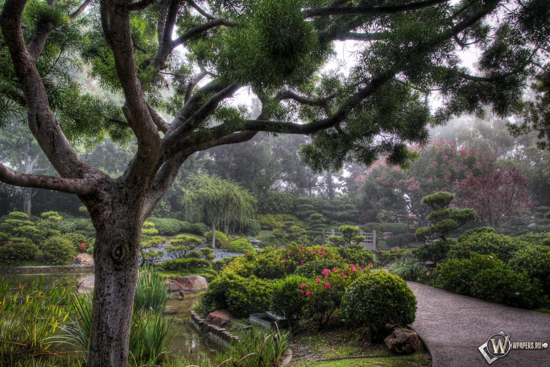 Японский сад 1920x1280