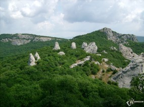 Каменный цветок - Крым