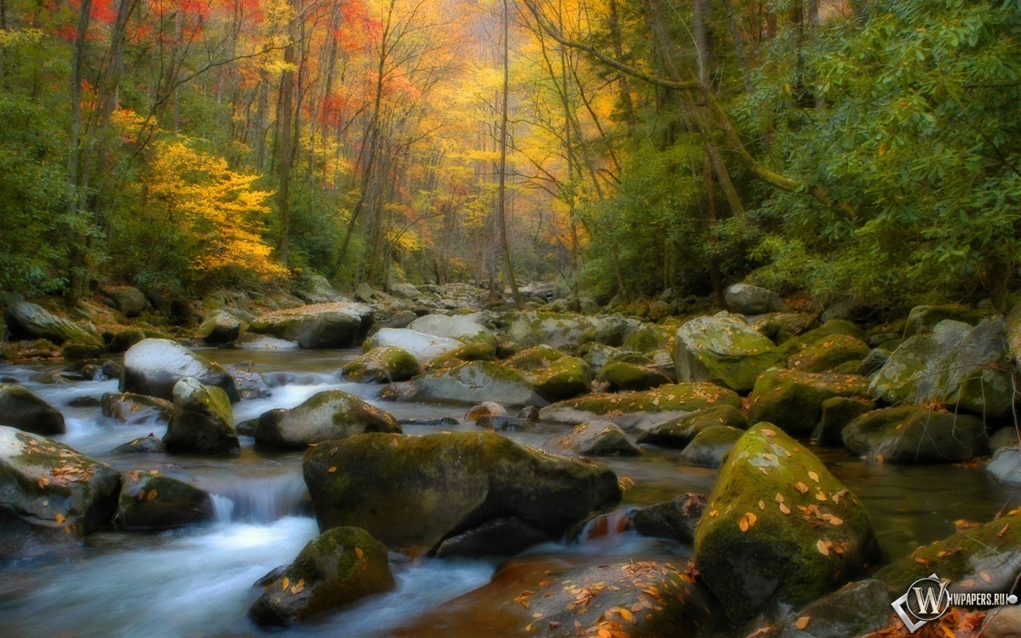 Осенний ручей 1440x900