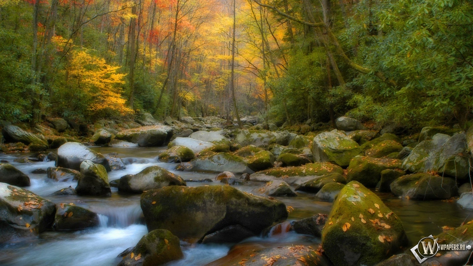 Осенний ручей 1600x900