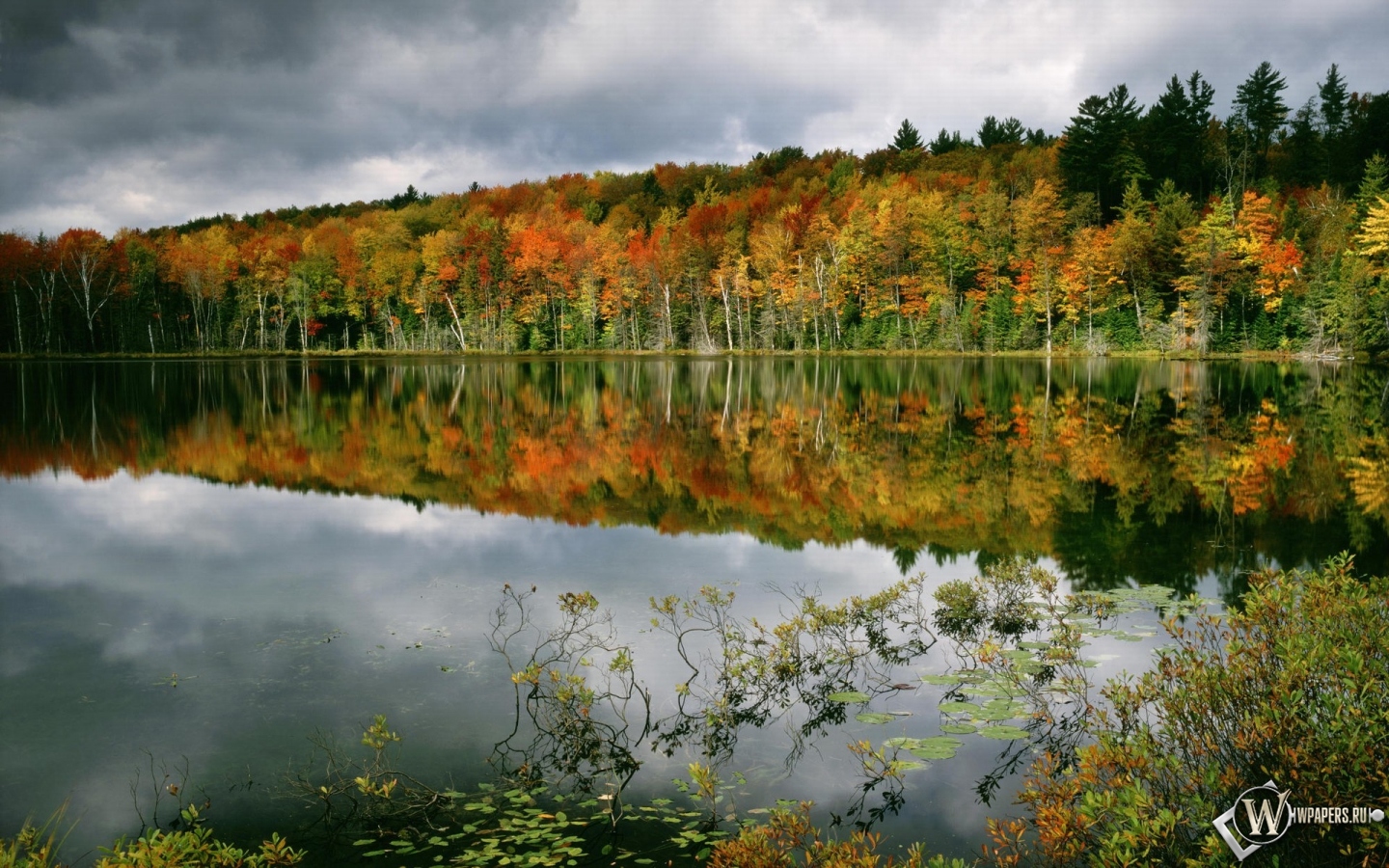 Осенний пруд 1440x900