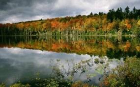 Обои Осенний пруд: Отражение, Вода, Лес, Деревья, Осень, Осень