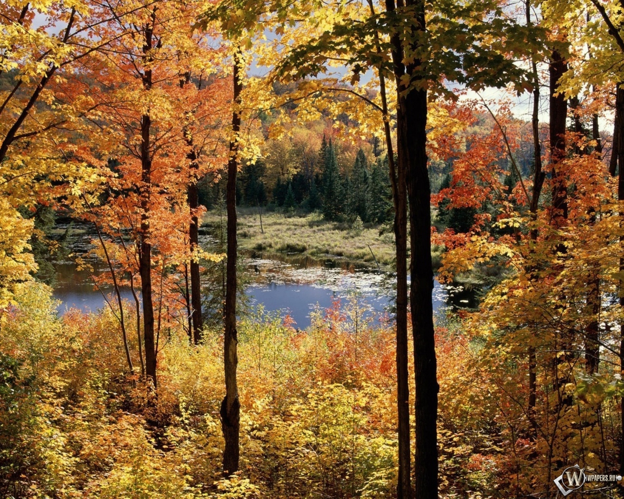 Осенний пейзаж 1280x1024
