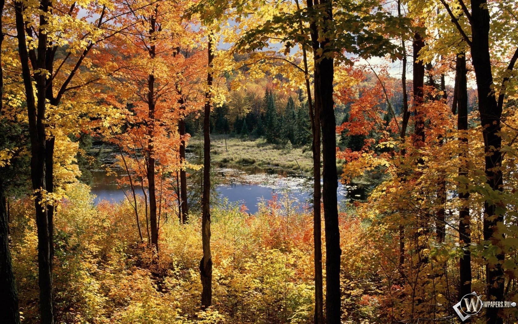 Осенний пейзаж 1680x1050