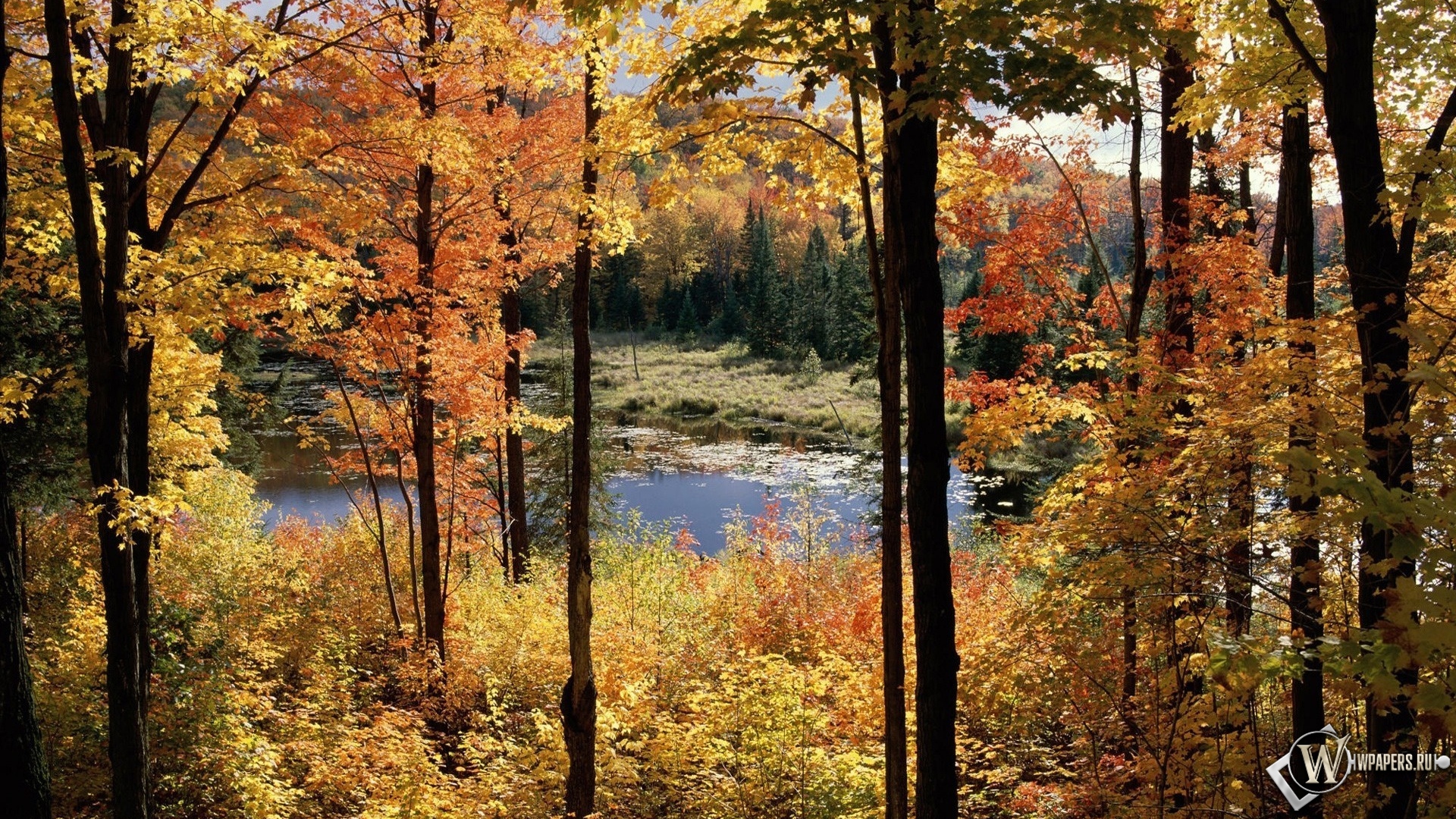Осенний пейзаж 1920x1080