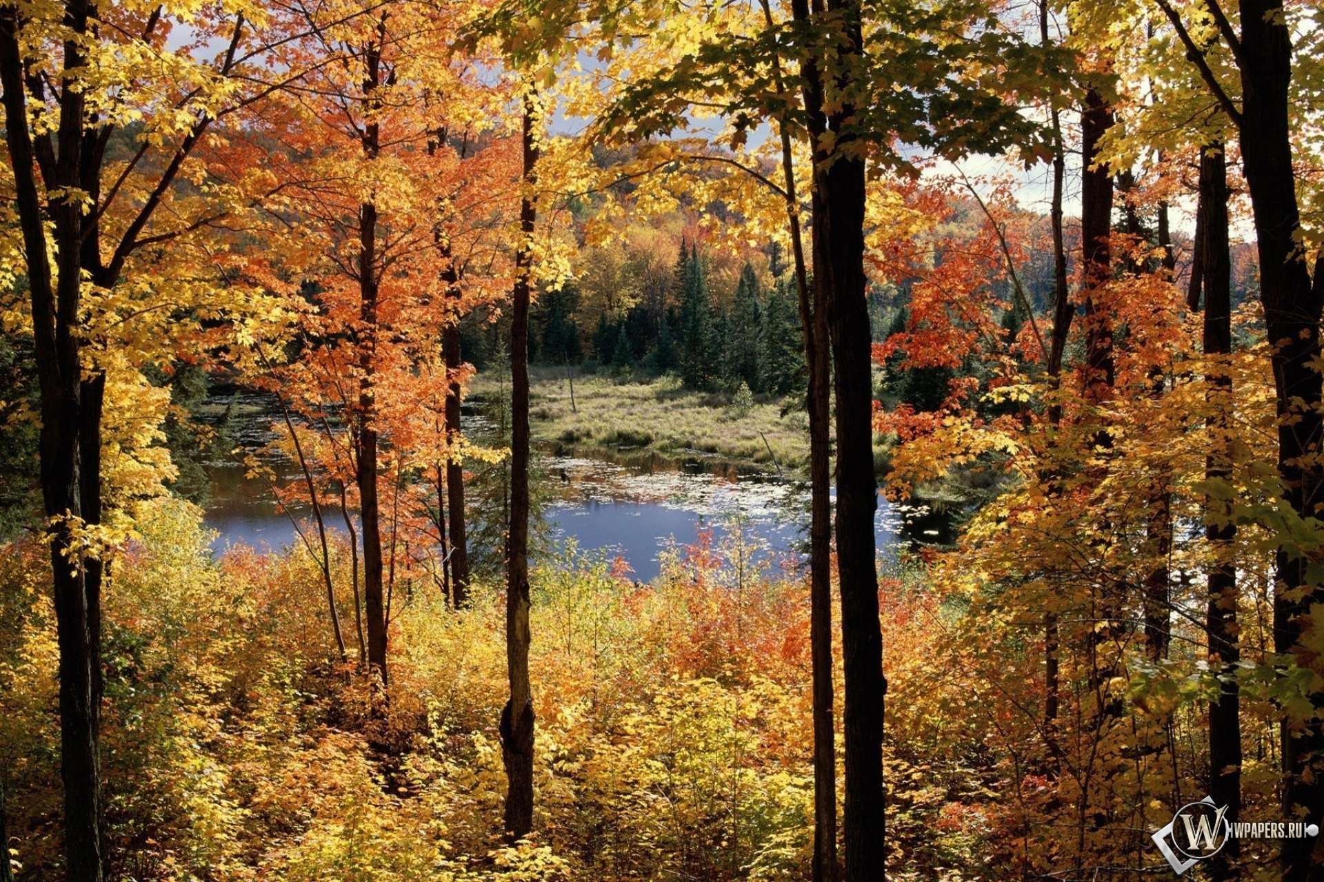 Осенний пейзаж 1920x1280
