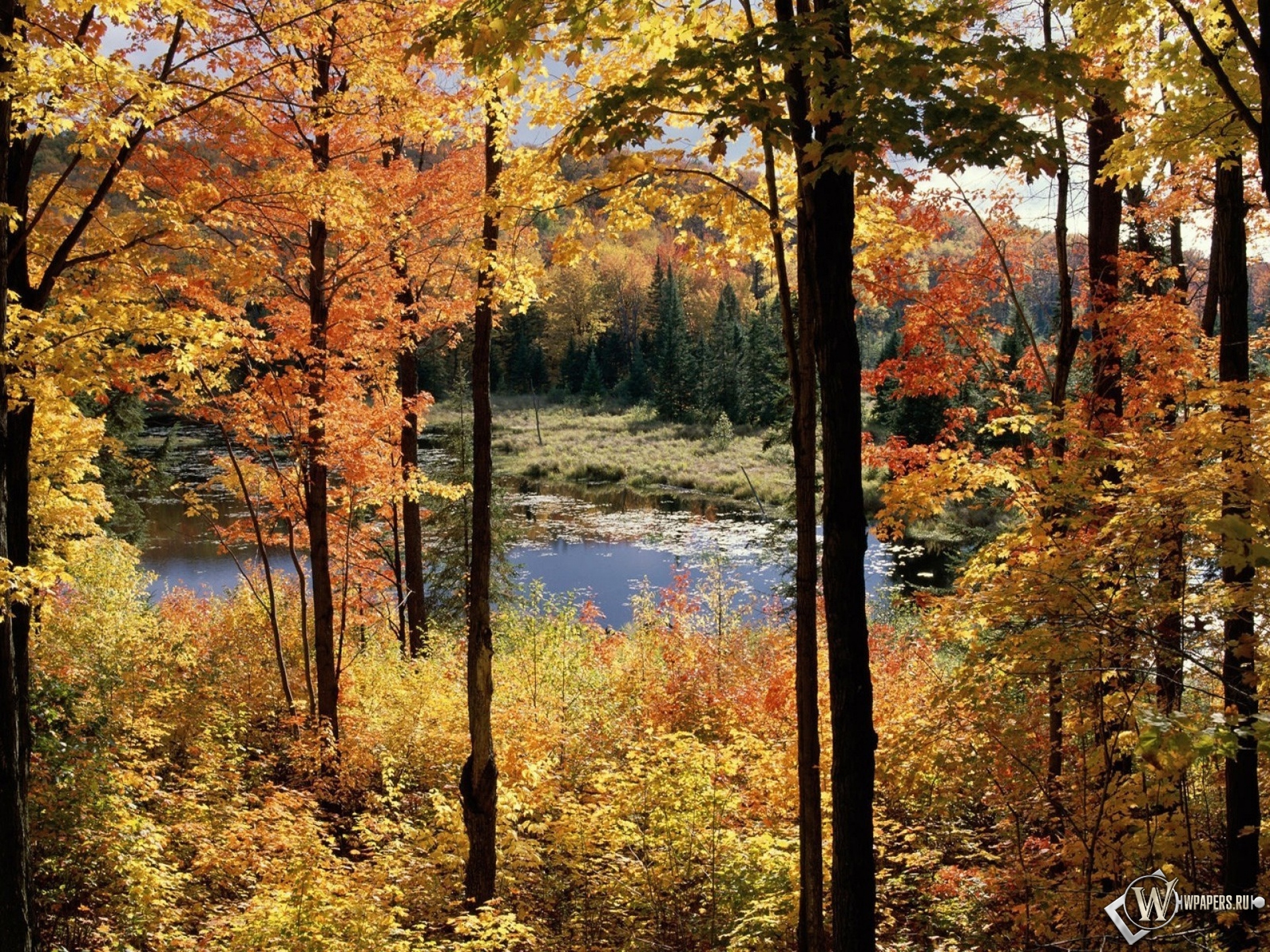 Осенний пейзаж 1920x1440
