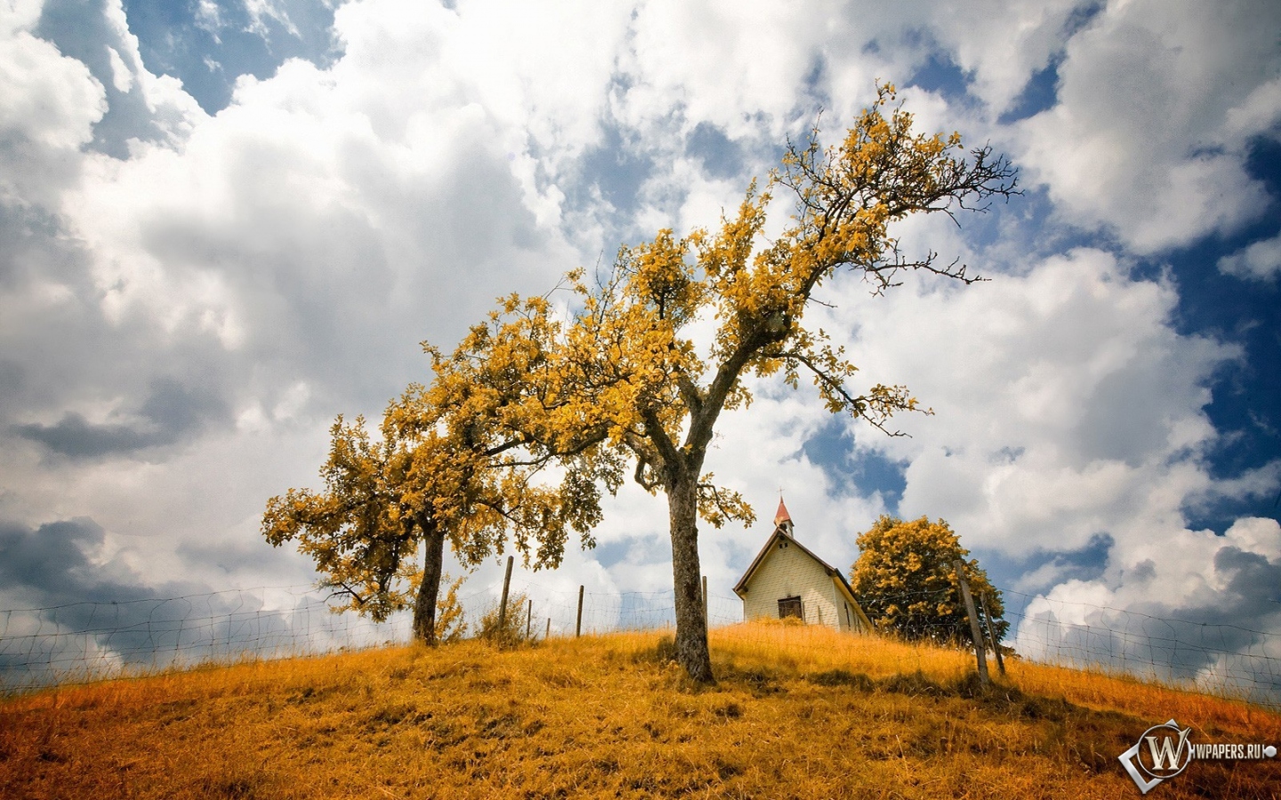 Осенний пейзаж 1440x900