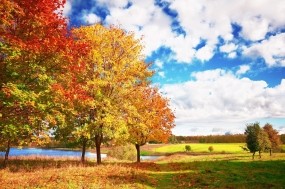 Обои Осенние мотивы: Облака, Деревья, Осень, Небо, Осень