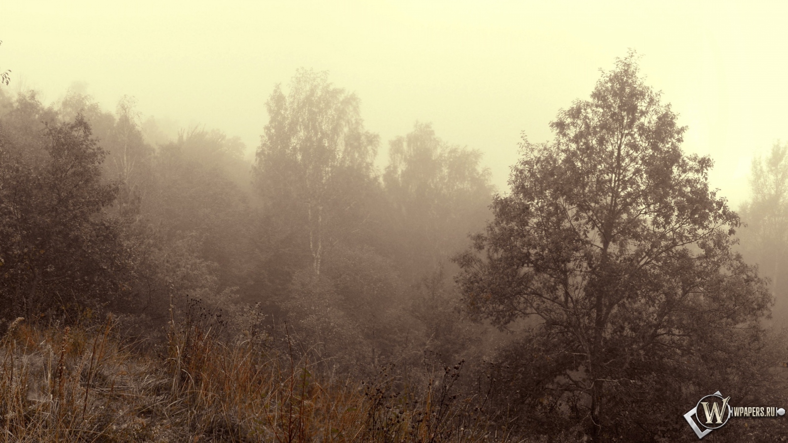 Осенний туман 1600x900