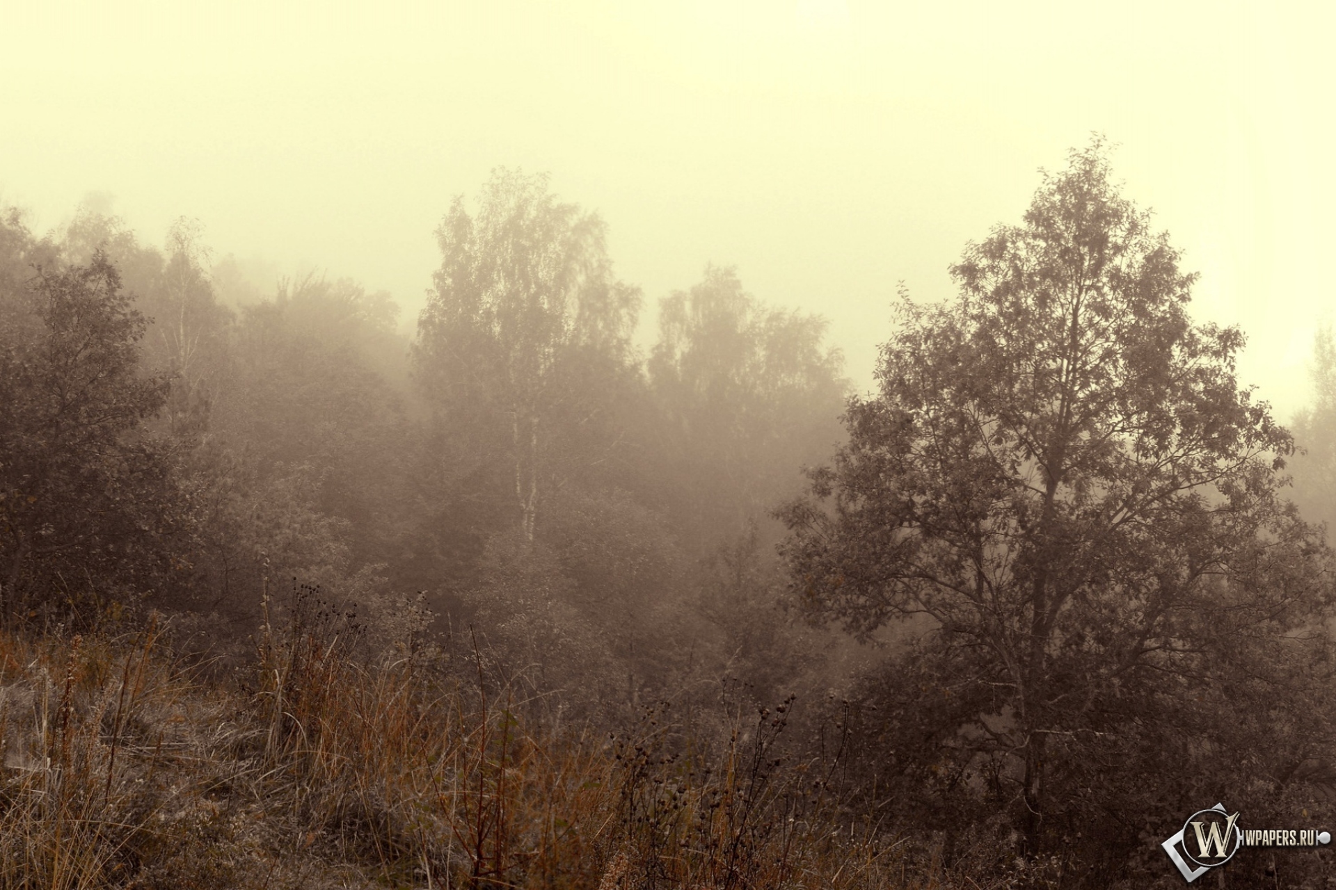 Осенний туман 1920x1280