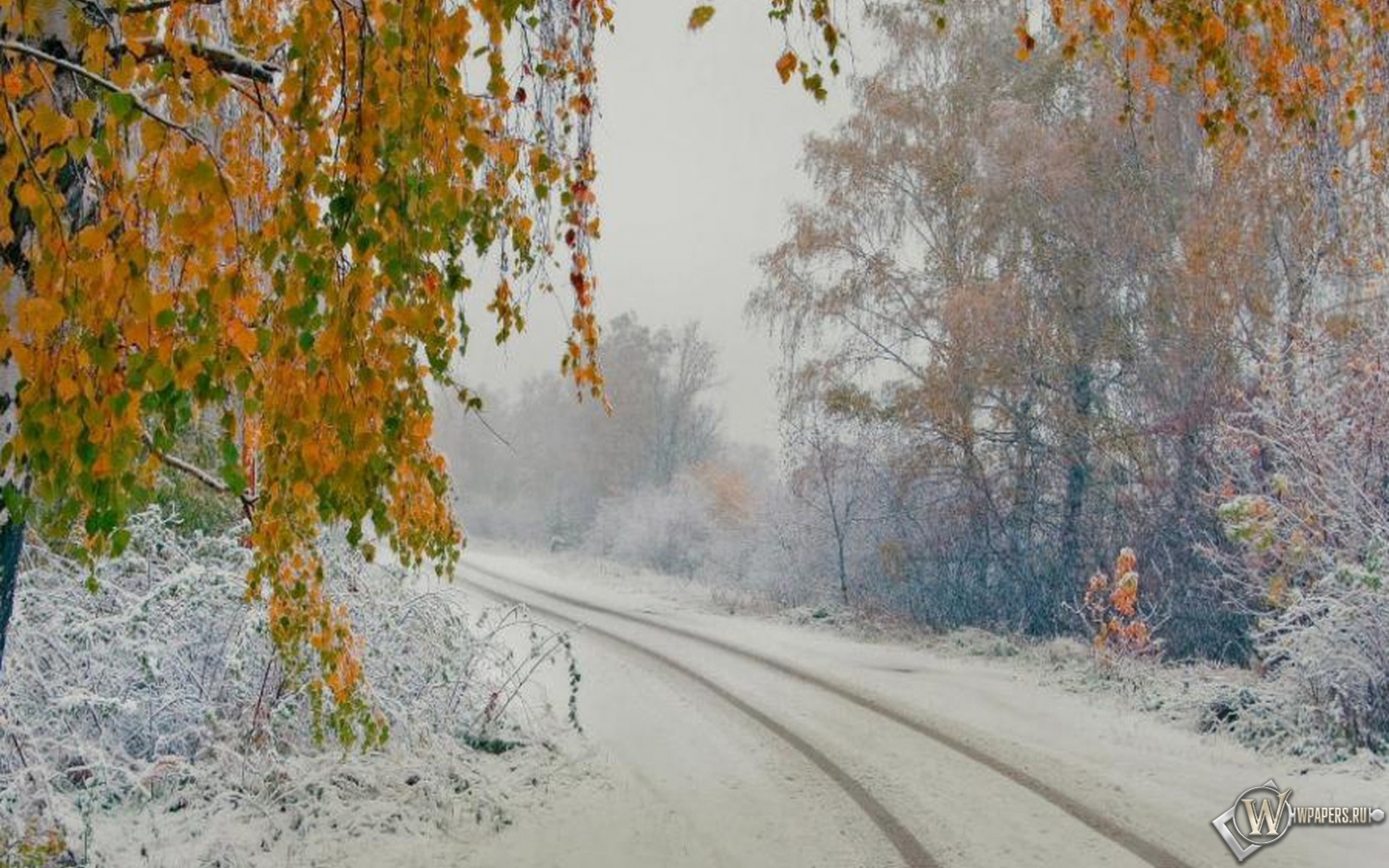 Снег осенью 1440x900