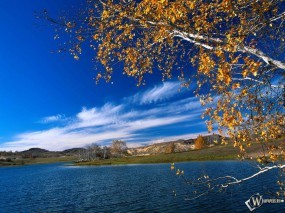 Обои Осенняя река: , Осень