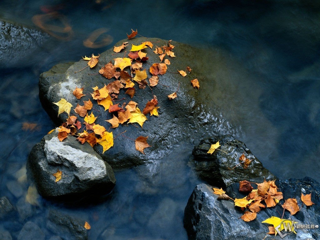 Осенняя листва на камнях 1024x768