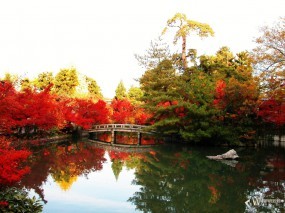 Обои Осенний пруд: , Осень