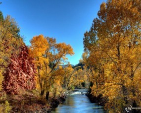Обои Река в осеннем лесу: , Осень