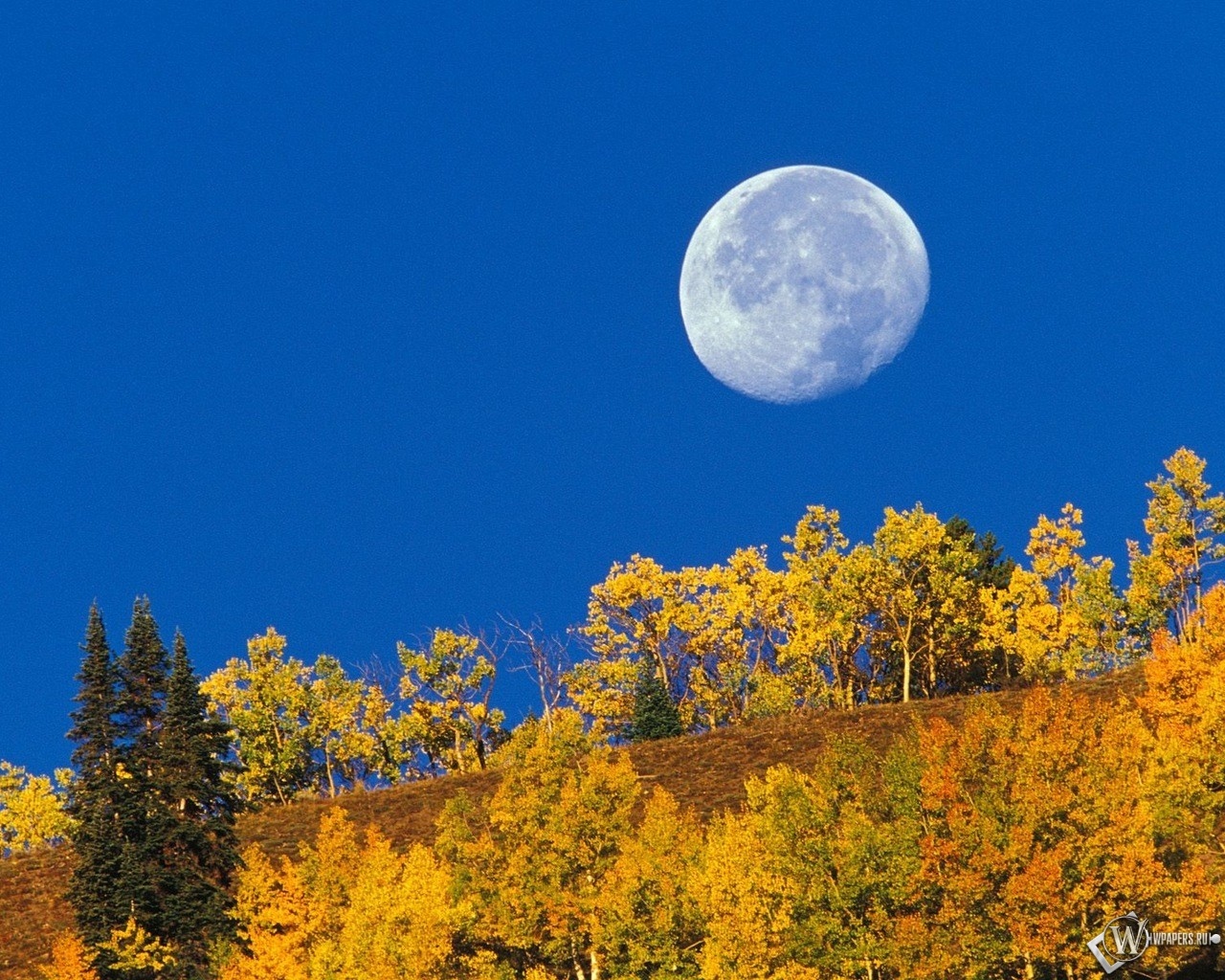 Осенняя луна 1280x1024