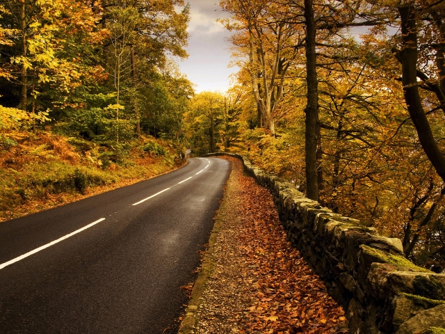 Осенняя дорога