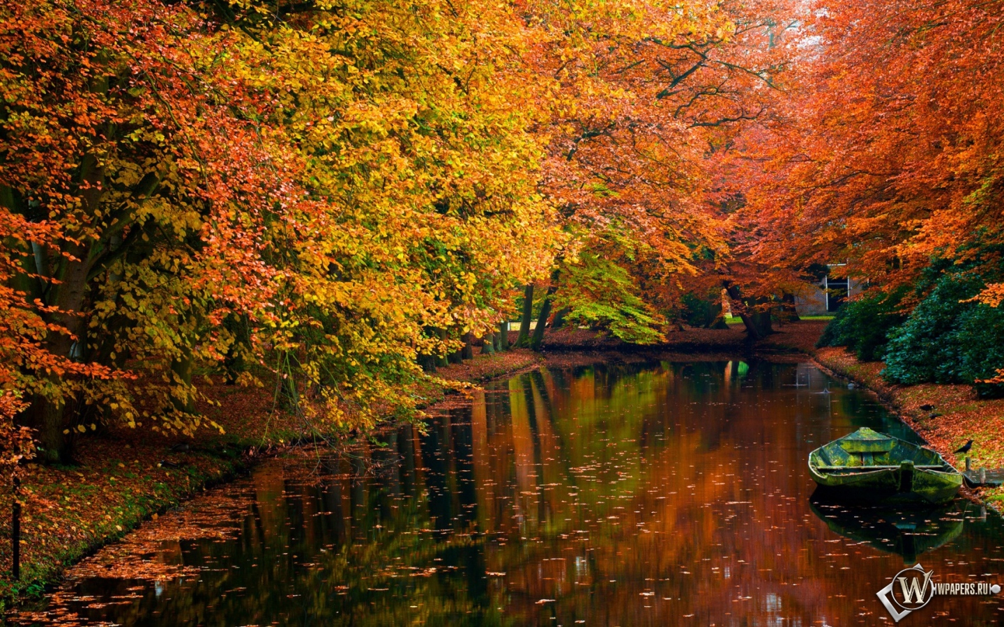 Осенний пруд 1440x900