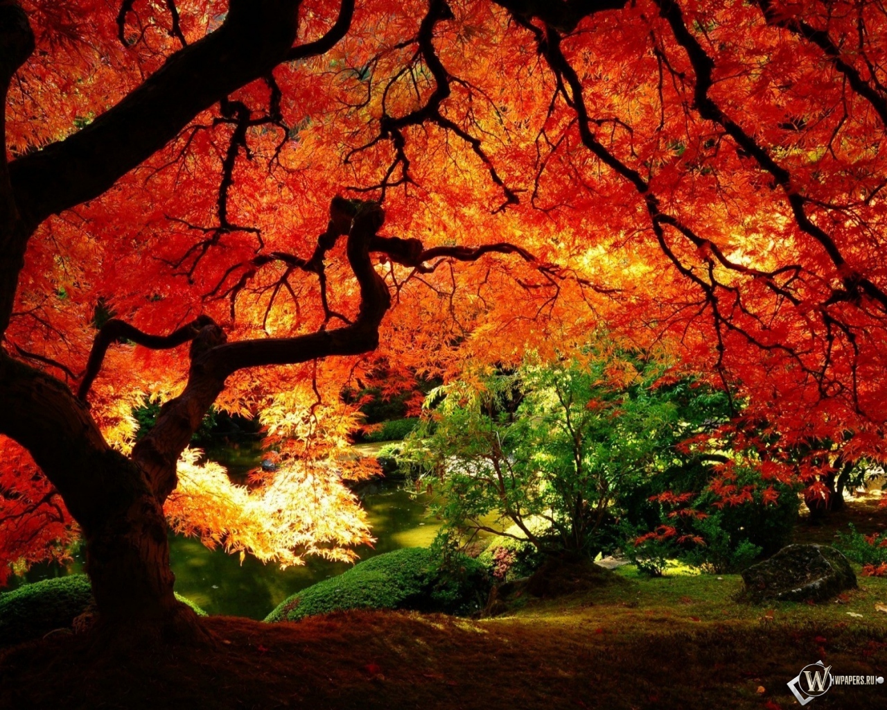 Осенний пейзаж 1280x1024