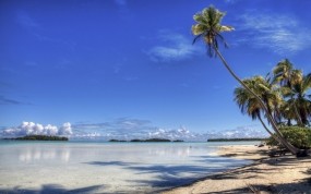 Обои Пляж: Пляж, Рай, Остров, Пальма, Берег, Прочие пейзажи