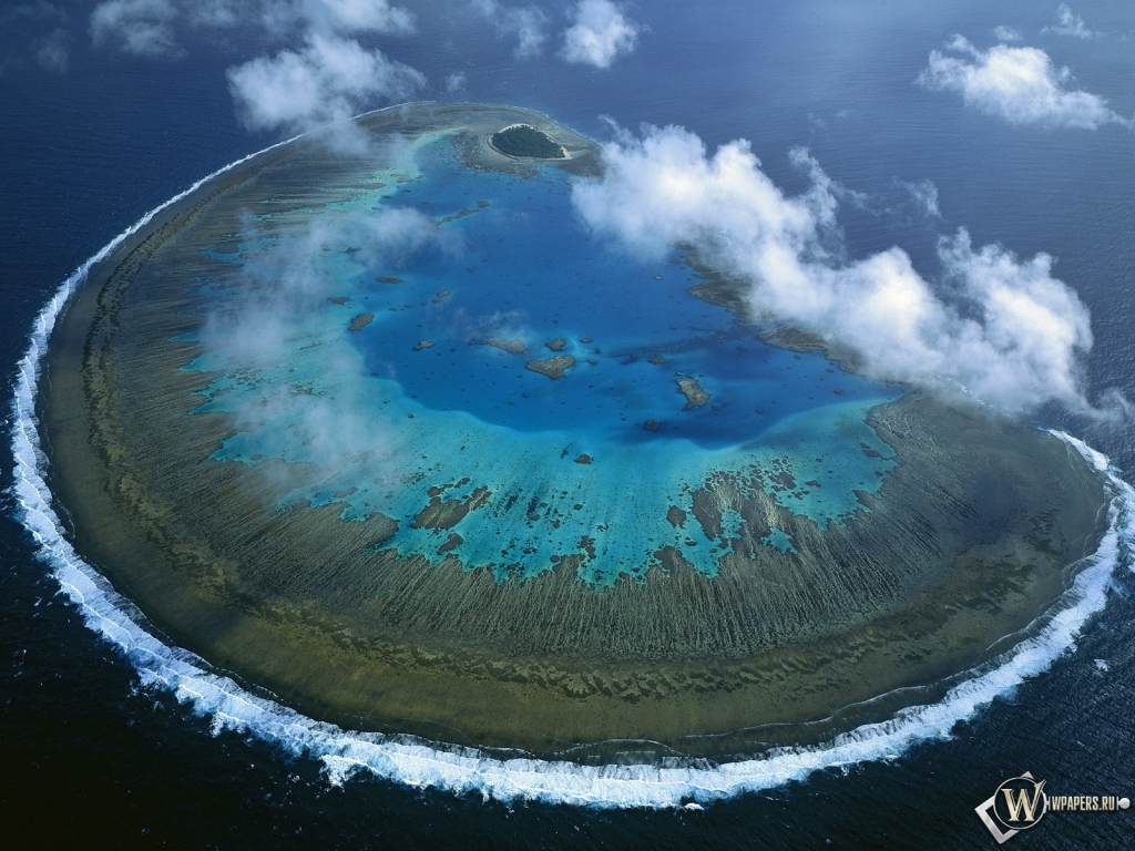 Остров Леди Масгрэйв - Большой Барьерный риф 1024x768