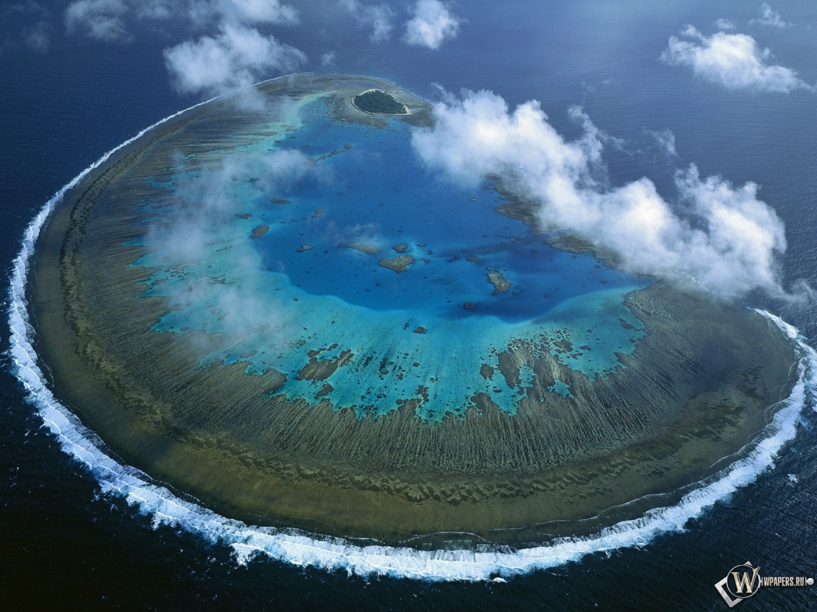 Остров Леди Масгрэйв - Большой Барьерный риф 1152x864