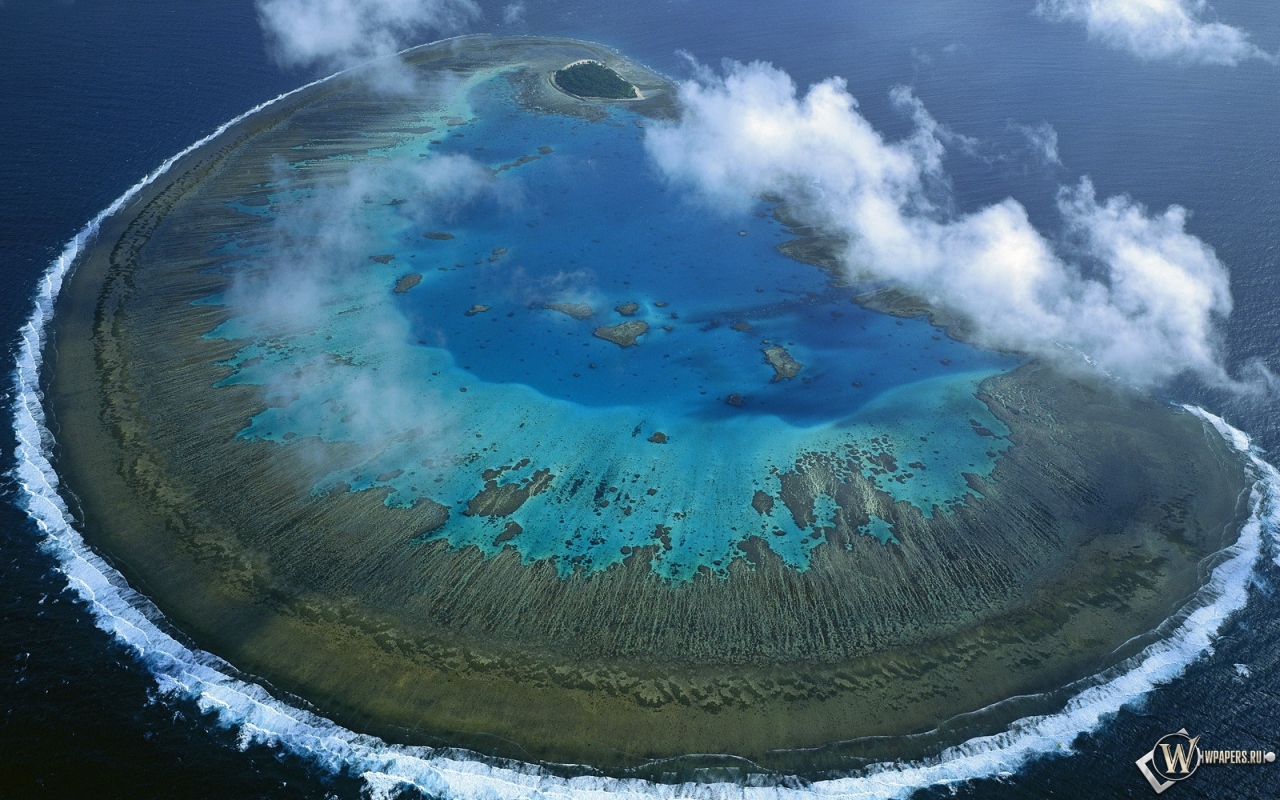 Остров Леди Масгрэйв - Большой Барьерный риф 1280x800
