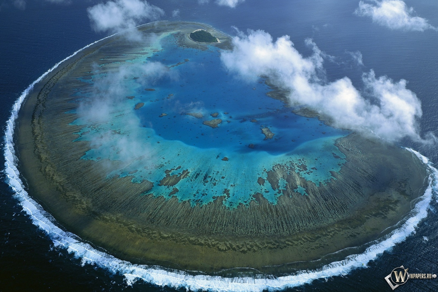 Остров Леди Масгрэйв - Большой Барьерный риф 1500x1000