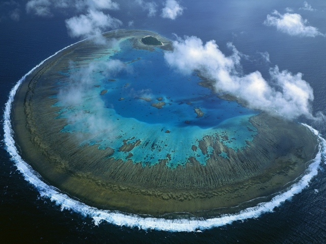 Остров Леди Масгрэйв - Большой Барьерный риф