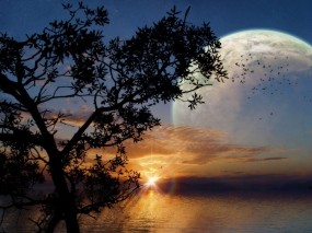 Обои Fantasy sunset: Море, Восход, Дерево, Прочие пейзажи